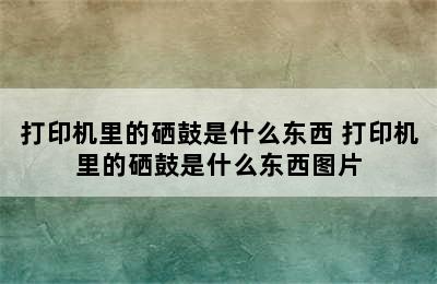 打印机里的硒鼓是什么东西 打印机里的硒鼓是什么东西图片